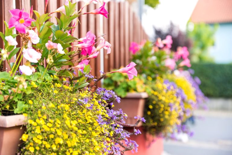 Restaurant Die Rose in Lauda-Königshofen